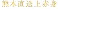 熊本直送上赤身 馬刺し（外国産）